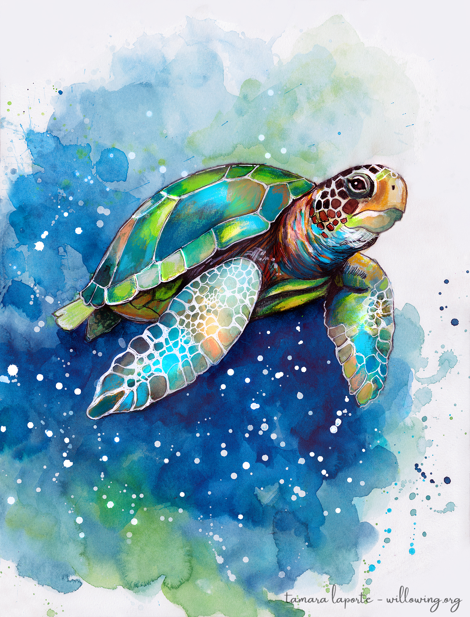 SacredSeaTurtleLowRESWMv2.jpg
